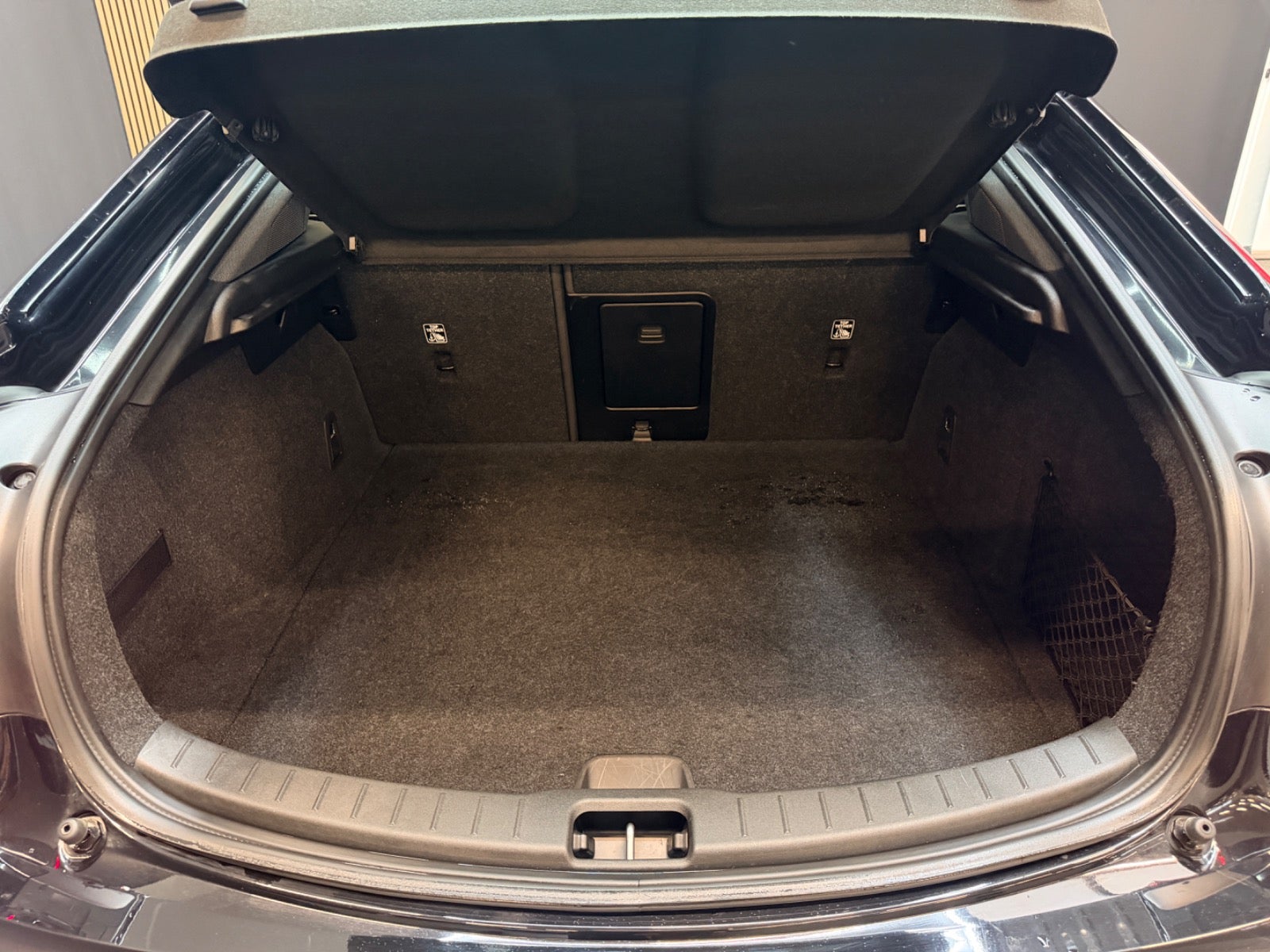 Polestar 2 - Billede 18