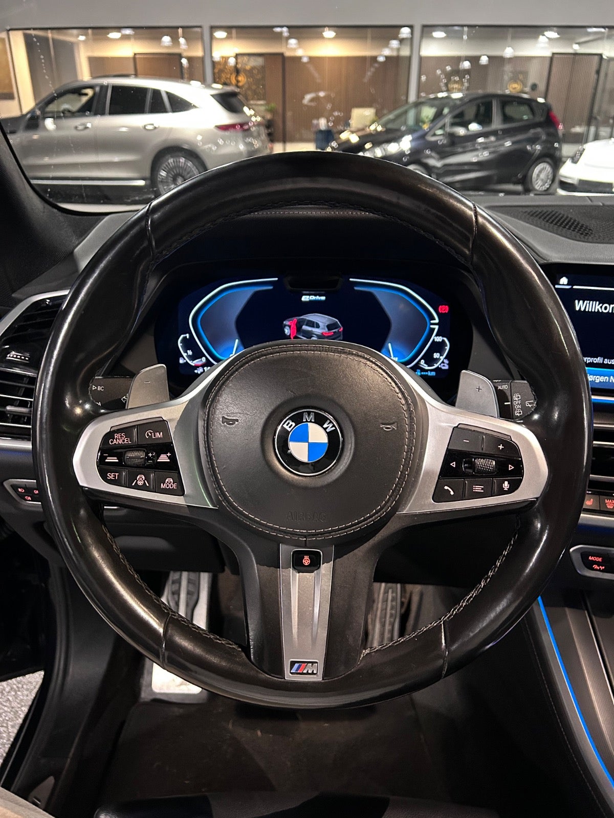 BMW X5 - Billede 14