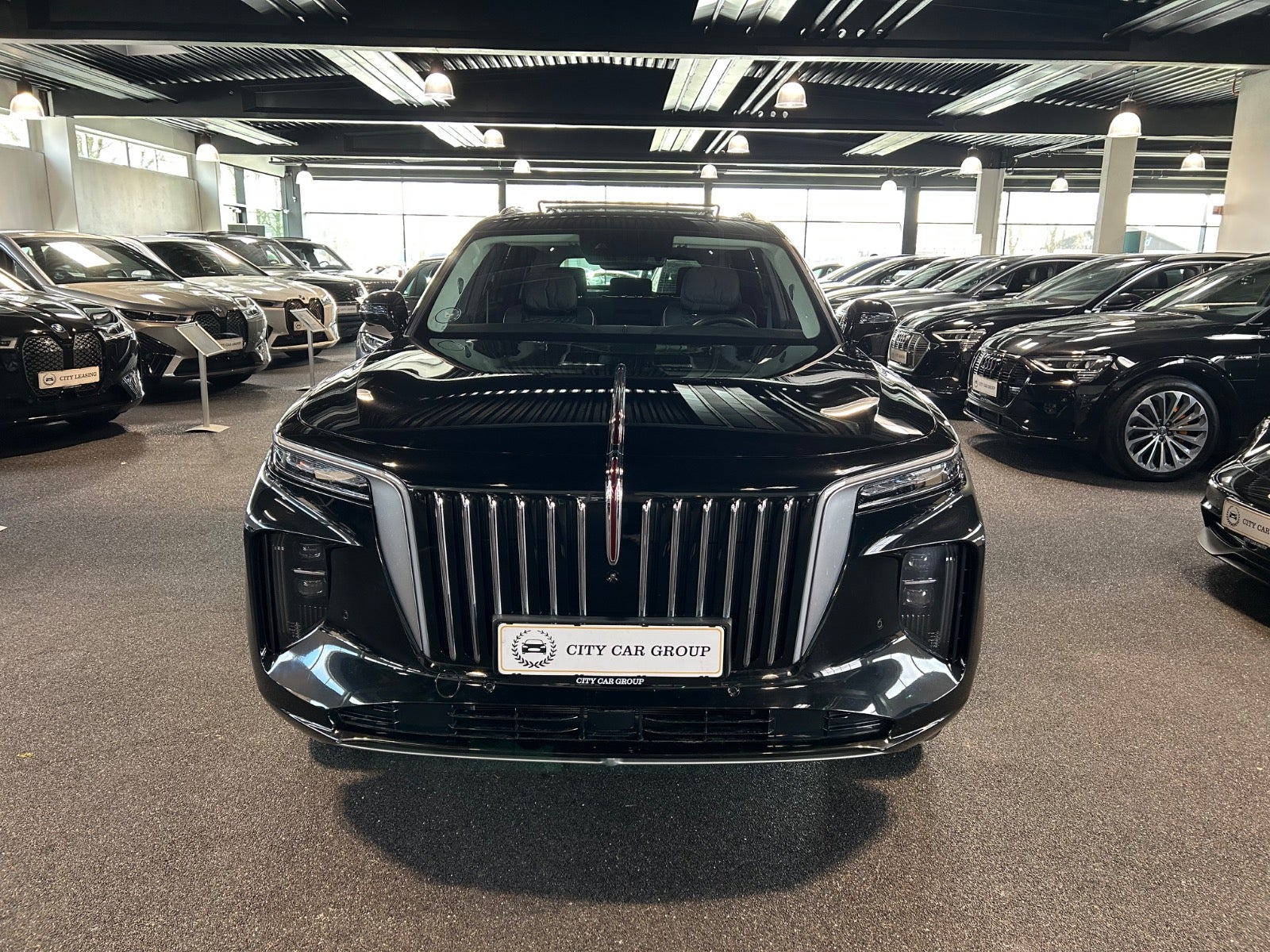 Hongqi E-HS9 - Billede 3