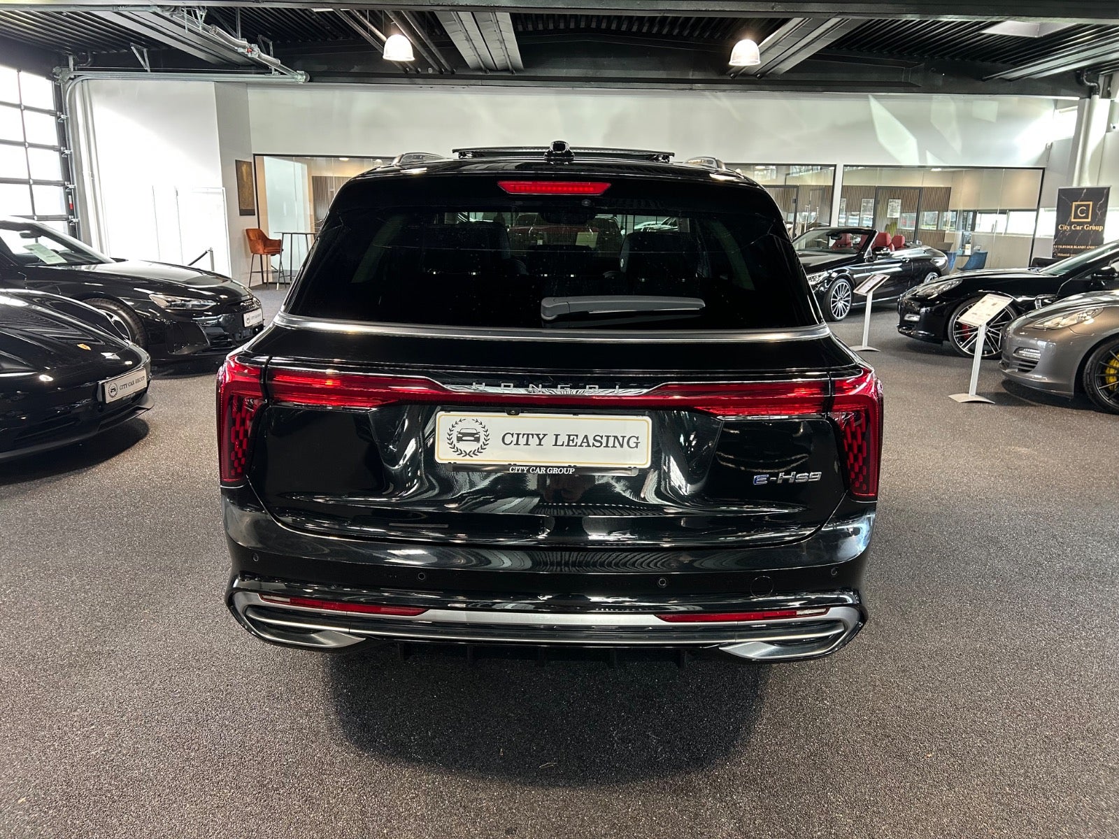 Hongqi E-HS9 - Billede 6