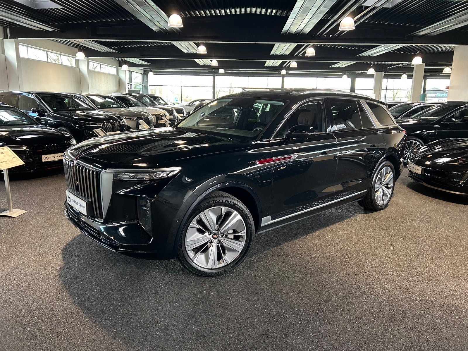 Billede af Hongqi E-HS9