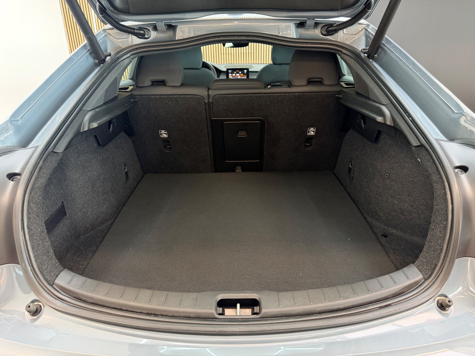 Polestar 2 - Billede 18